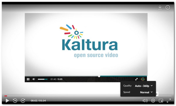 Kaltura Interface