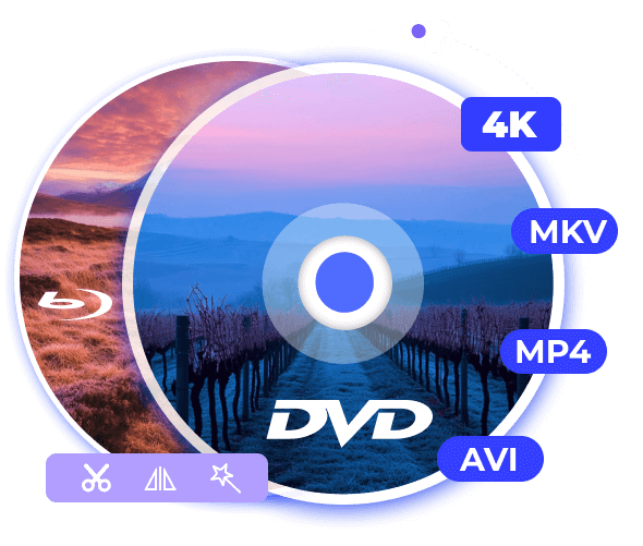 DVD Ripper