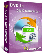 4Easysoft DVD to DivX Converter Box