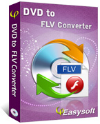 4Easysoft DVD to FLV Converter Box