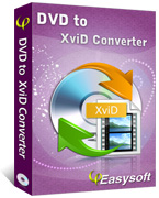 4Easysoft DVD to XviD Converter Box