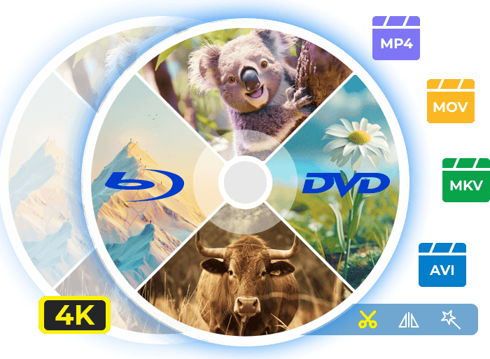 DVD Ripper