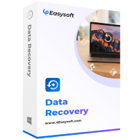 Data Recovery