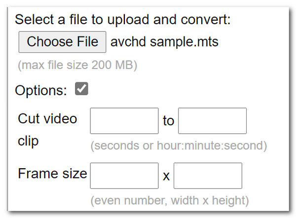 Online Converter Convert AVC to General Videos