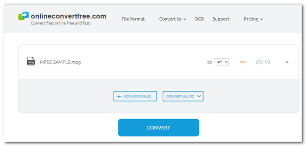 OnlineConvertFree 將 MPEG 轉換為 AVI