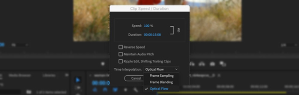 Slowmo Adobe Export