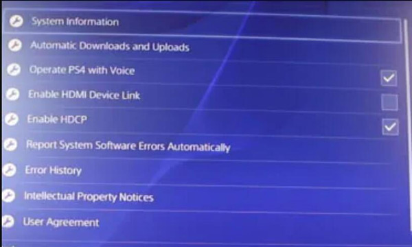 System Information on PS4