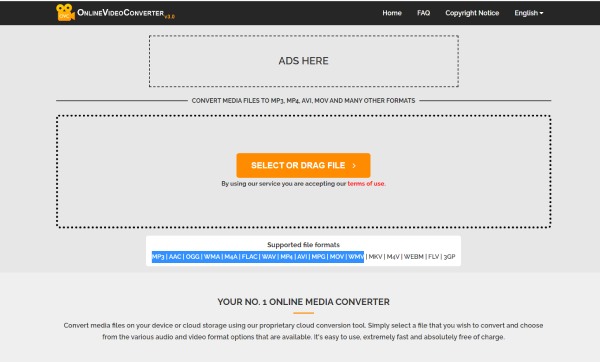 Online Video Converter Interface