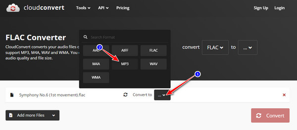 CloudConvert Choose Format