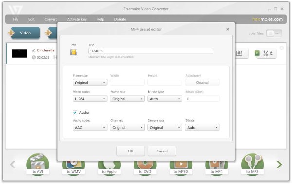 Freemake Vide Converter Interface