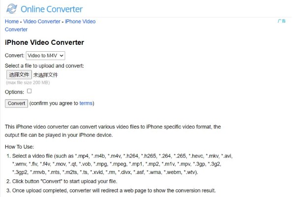 Online Converter Interface