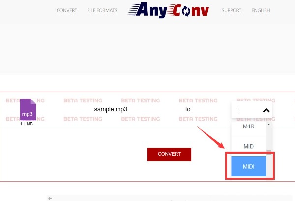 Choose Output Format AnyConv