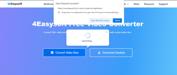 4Easysoft Online-launcher