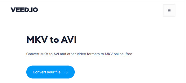 VEED IO MKV to AVI Converter