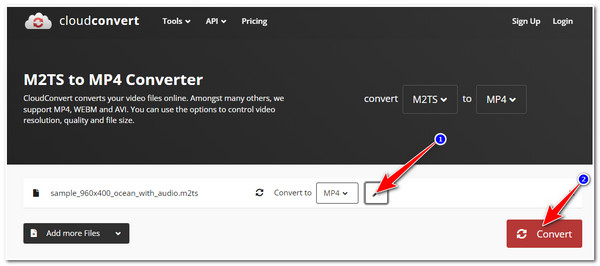 M2TS Converter CloudConvert Initiate Conversion Process