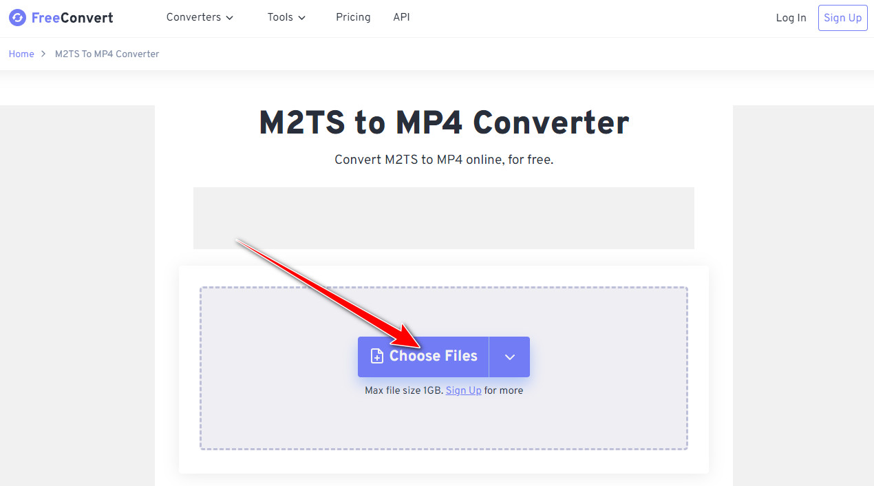 M2TS 轉換器 FreeConvert 匯入文件