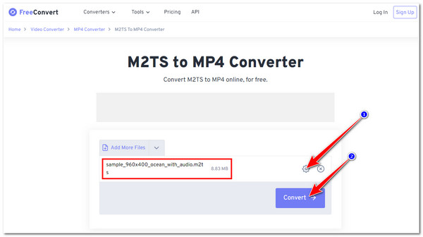 M2TS 轉換器 FreeConvert 選擇轉換