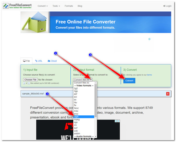 Select MP4 Format and Convert Button