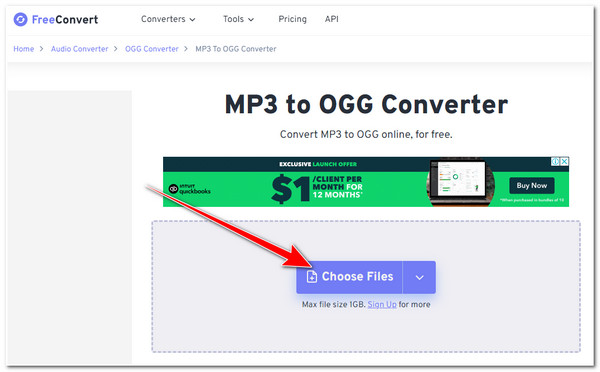 FreeConvert Import MP3 File