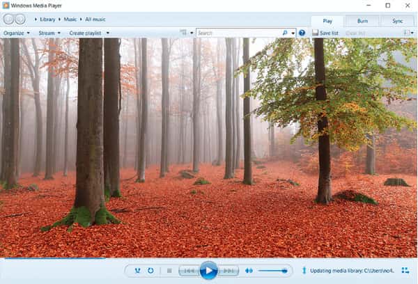 Windows Media Player Free WebM Player