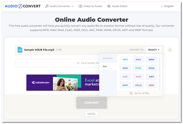 Audio Convert Interface