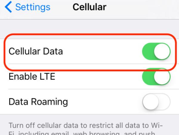 Cellular Data