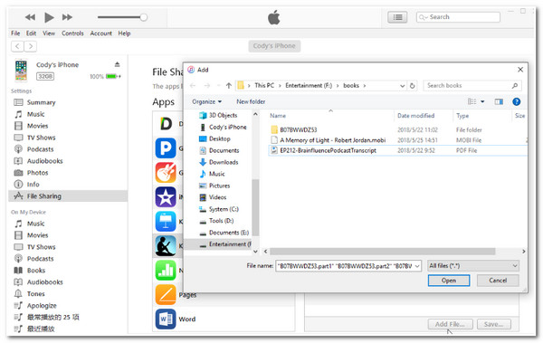 iTunes File Sharing Interface