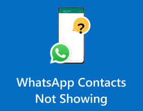 WhatsApp Contacts Not Showing