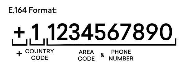 WhatsApp Phone Number Format