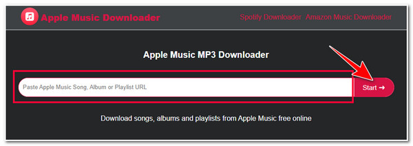 Interfejs internetowy programu Apple Music Downloader