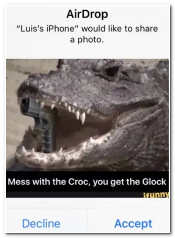 Croc Animals