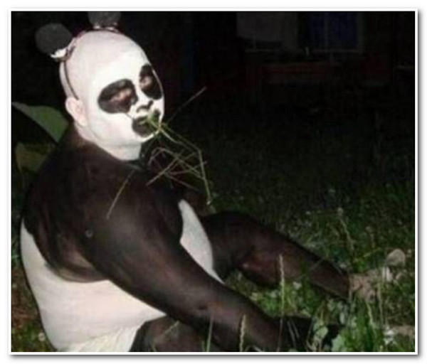 Panda aterrador y divertido