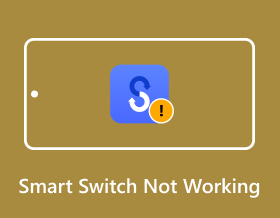 Smart Switch Not Working