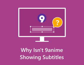 Why Isnt 9anime Showing Subtitles