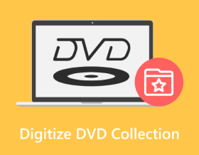 Digitize Dvd Collection S