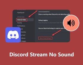 Discord Stream No Sound S