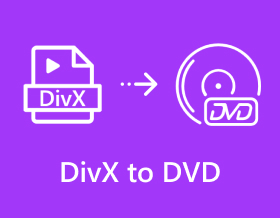 Divx To Dvd S