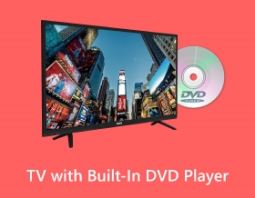 內建 DVD 播放器的電視 S