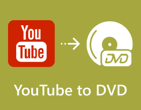 Youtube To Dvd S