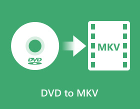 DVD 轉 Mkv S