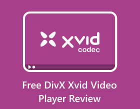 Besplatni Divx Xvid Video Player pregled S