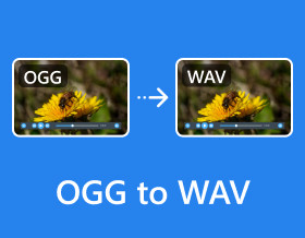 Ogg 轉 Wav