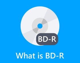 What Is Bd R