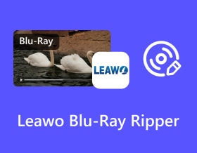 19 Leawo Blu-rayリッピング