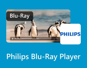 22 Philips Blu Ray Player