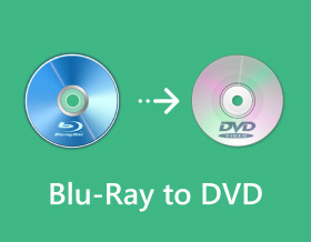 Blu Ray To Dvd