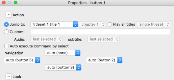 Detailed Parameters Dvdstyler