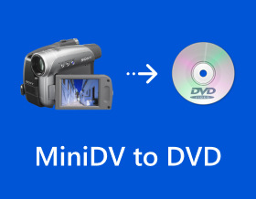 Minidv To Dvd