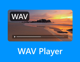 Wav Player