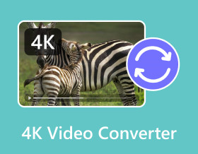 4k Video Converter